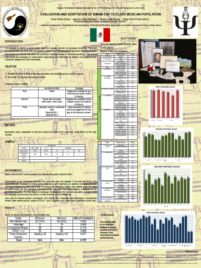 BINAM-MEX Adaptation for Elderly Care | PDF | Memory | Dementia