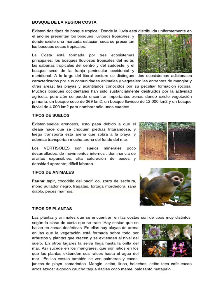 Ecosistemas y Bosques de Ecuador | PDF | Los bosques | Suelo