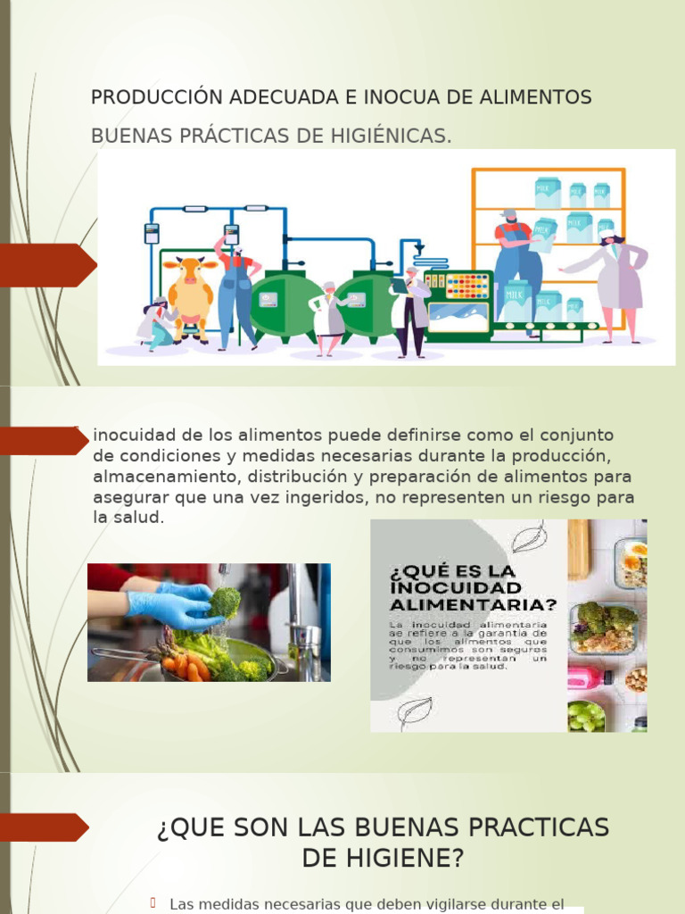 Producción Adecuada e Inocua de Alimentos | PDF