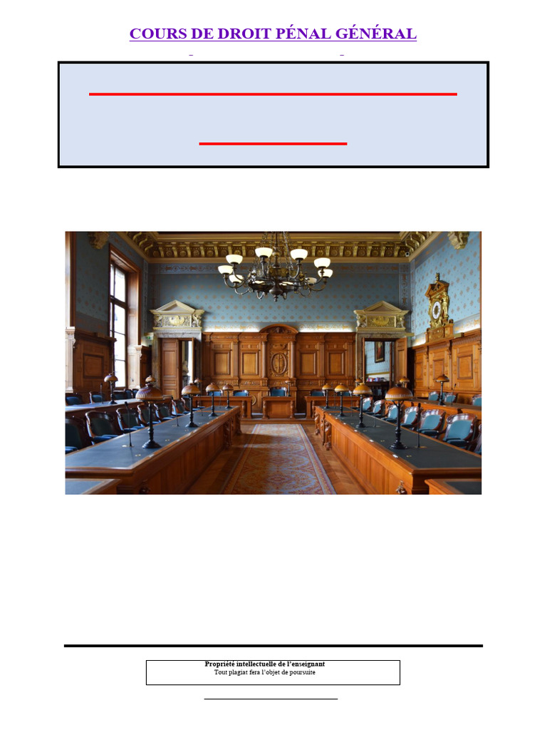 Cours de Droit Pénal Général 2024-2025 | PDF | Criminologie | Loi ...