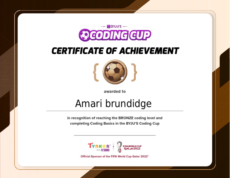 Bronze Level Coding Achievement Certificate | PDF