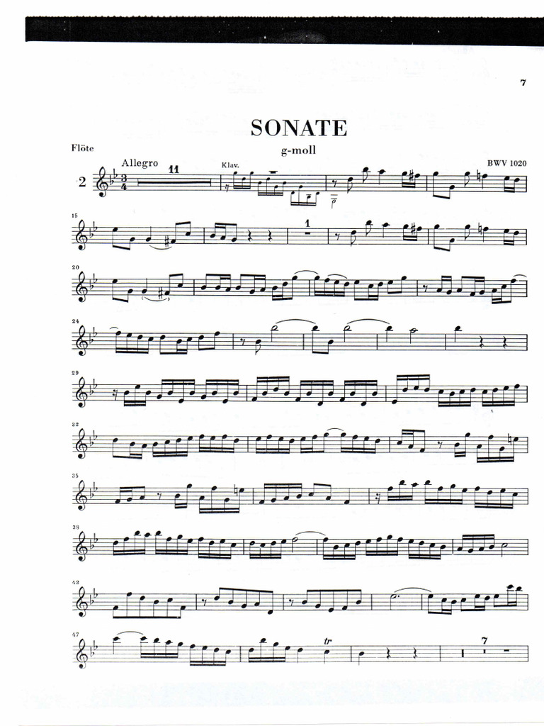 Bach JS Sonata em Sol Menor Flauta | PDF