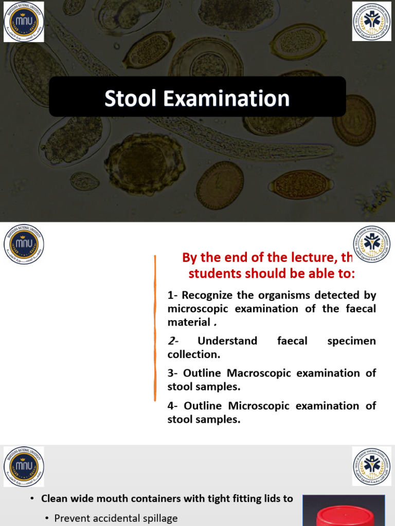 Comprehensive Stool Examination Guide | PDF | Staining | Protozoa