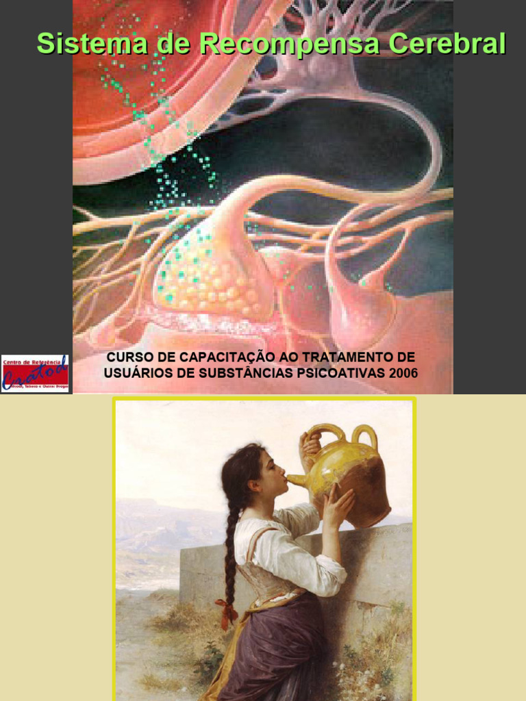 Sistema de Recompensa Cerebral | PDF