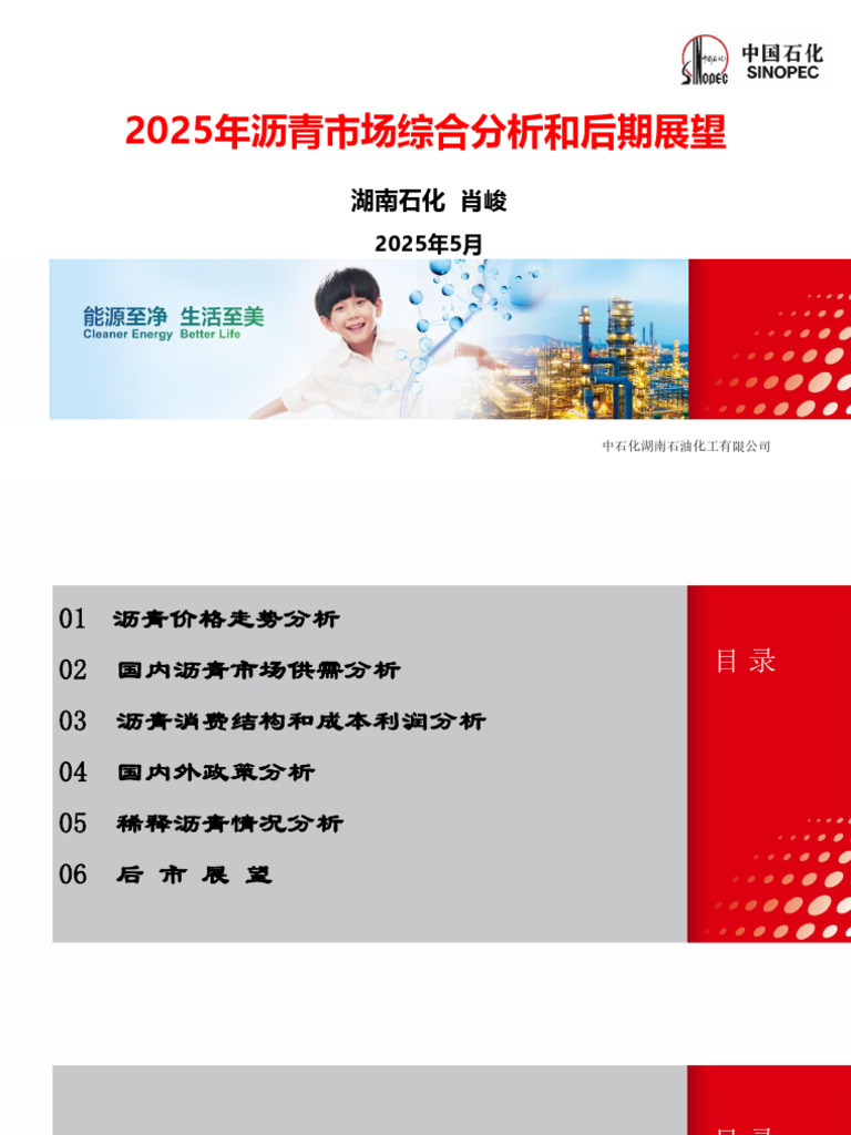 １沥青市场综合分析与展望| PDF