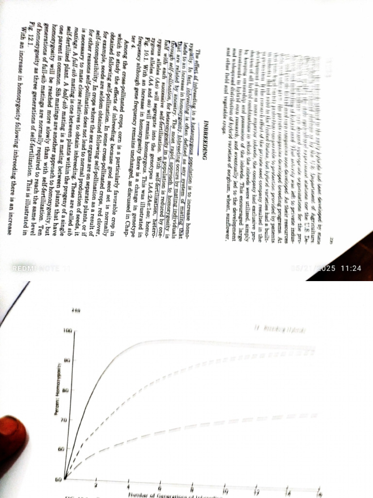 PBG | PDF