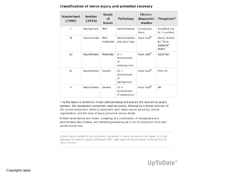 Classification of Nerve Injury | PDF