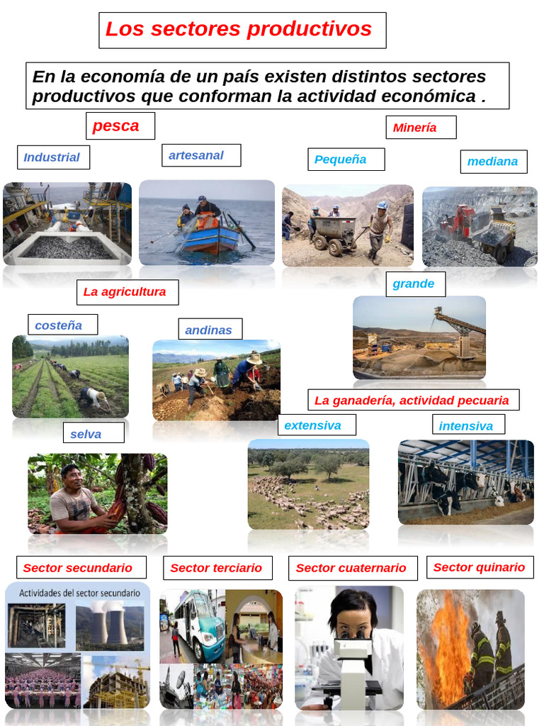Sectores Productivos en la Economía | PDF