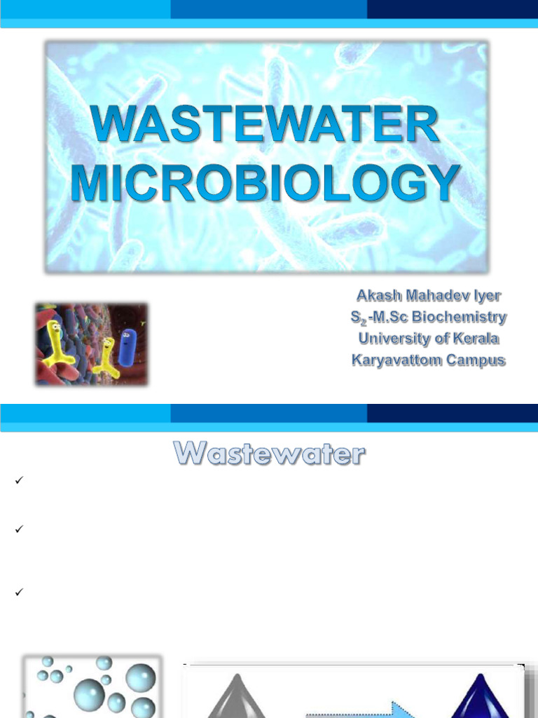 Wastewater Treatment Microorganisms Explained | PDF | Protozoa | Bacteria