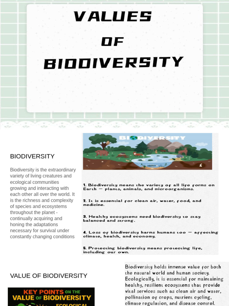 Importance and Values of Biodiversity | PDF | Biodiversity | Ecosystem