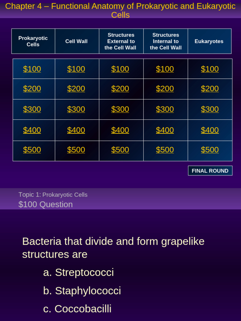 Explore | PDF | Cell (Biology) | Eukaryotes