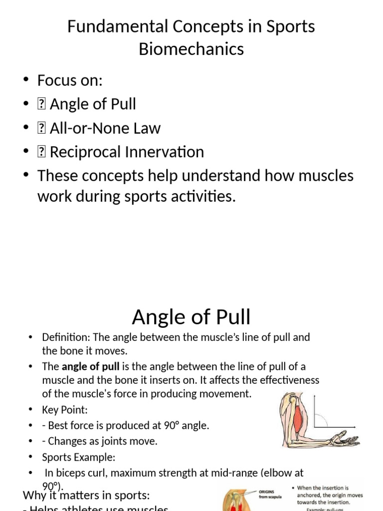 Fundamental Concepts Sports Biomechanics | PDF
