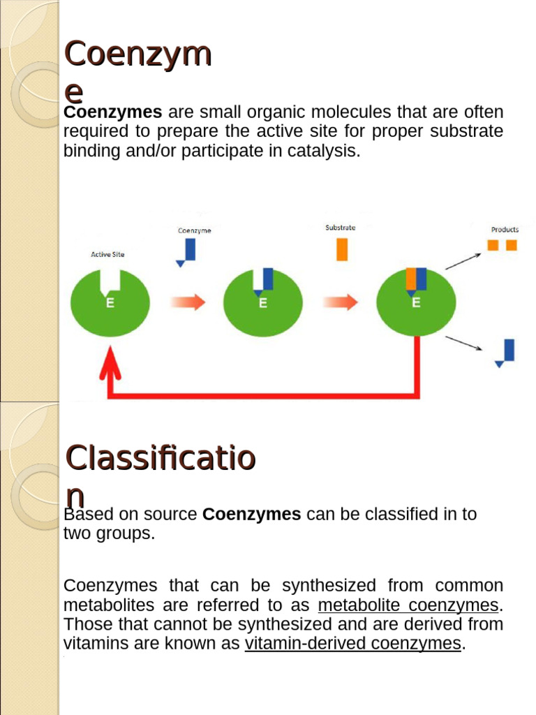 Presentation Coenzyme by Tanwi | PDF | Nicotinamide Adenine ...