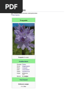 Download Eceng gondok by Theresia Nurhayati Naibaho SN88134077 doc pdf