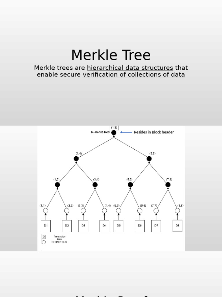 Merkle Tree and SPV | PDF | Cryptography | Error Detection And Correction
