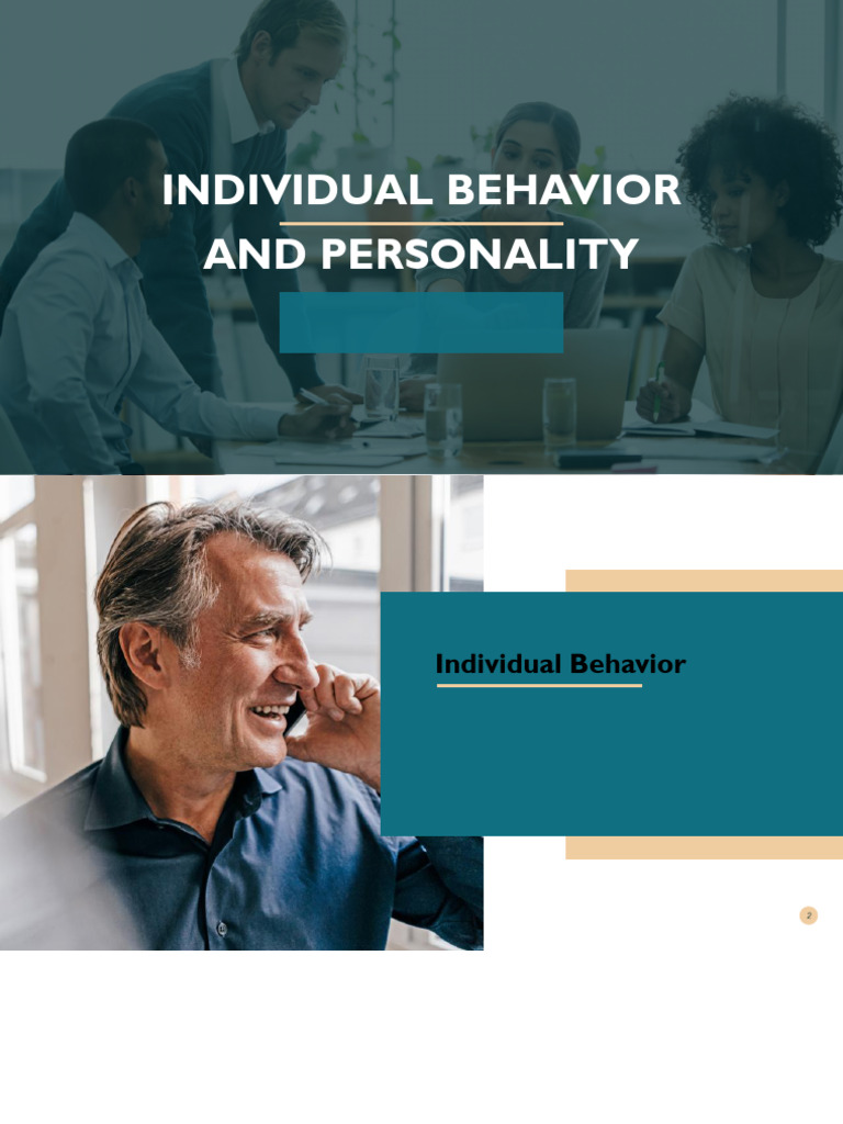 Understanding Individual Behavior and Personality | PDF | Perception ...