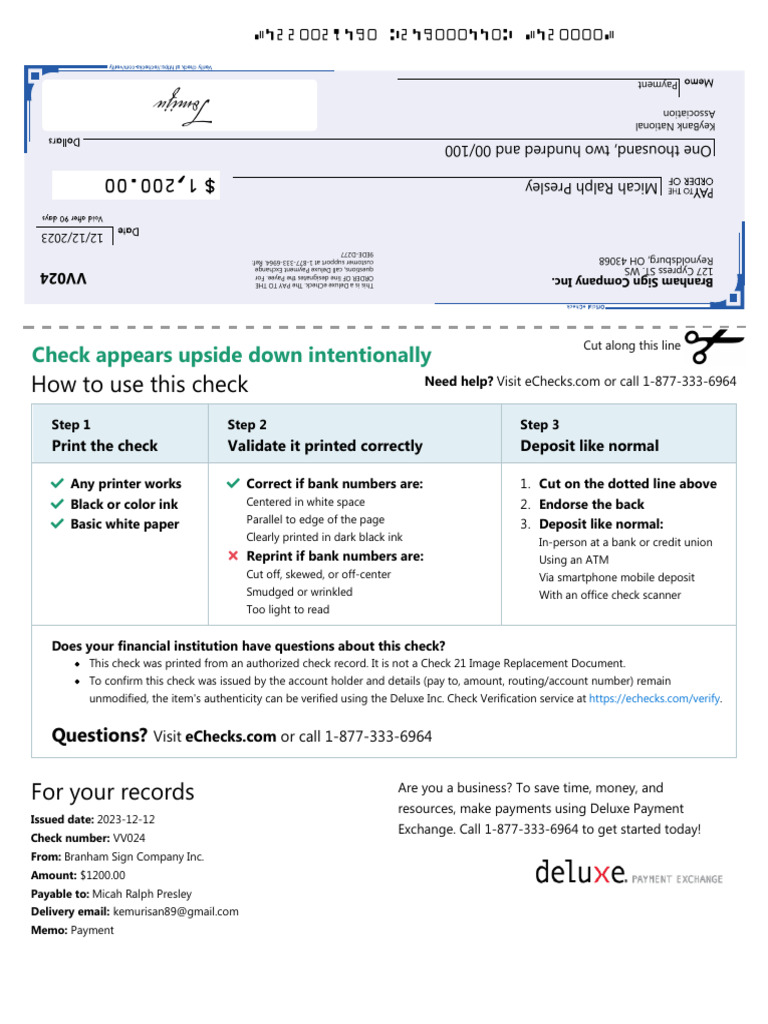 Deluxe eCheck Payment Instructions | PDF