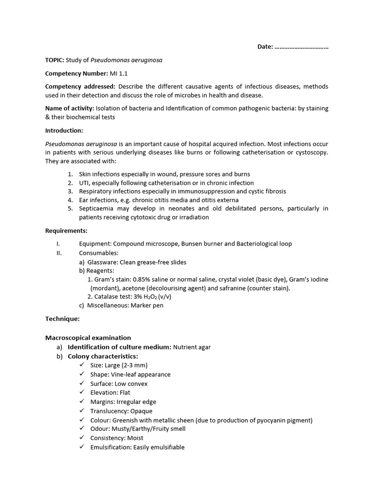 Isolation and Identification of Pseudomonas aeruginosa | PDF ...