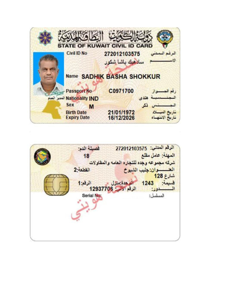 Sadiq Basha | PDF