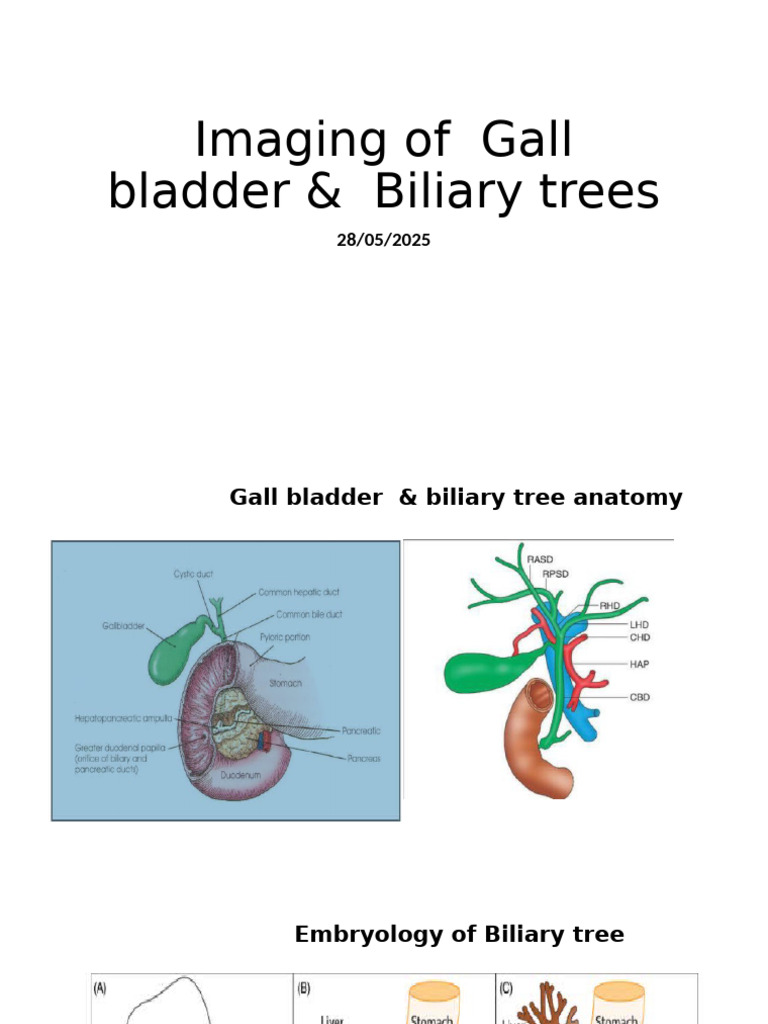 Gallbladder and Biliary Tree Imaging | PDF | Gallbladder | Liver