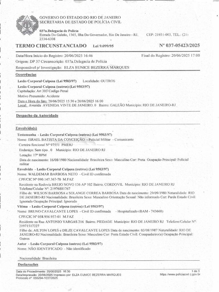 Termo Circunstanciado | PDF