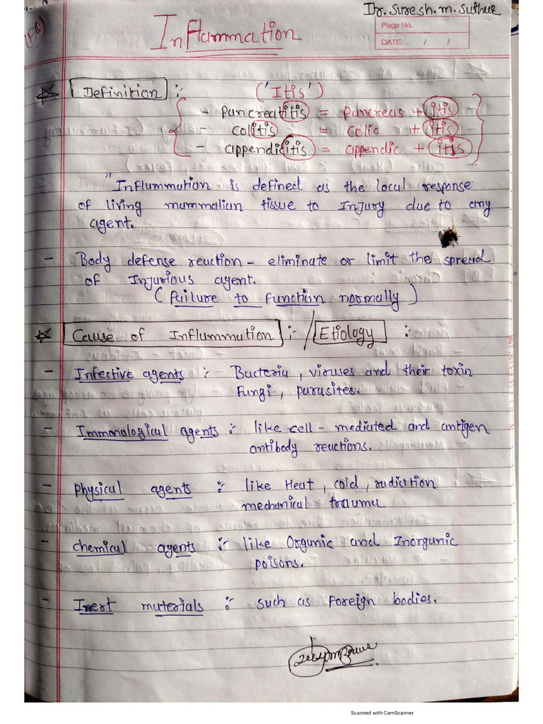Inflammation Notes | PDF