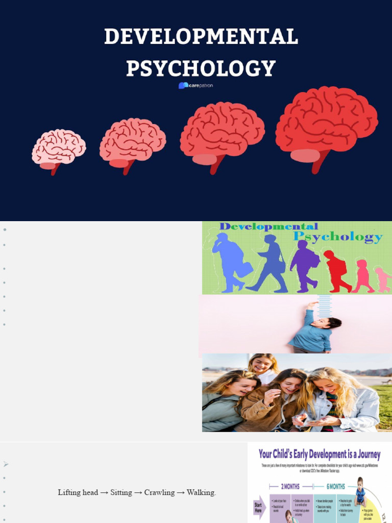 Developmental Psychology Overview | PDF | Adolescence | Caregiver