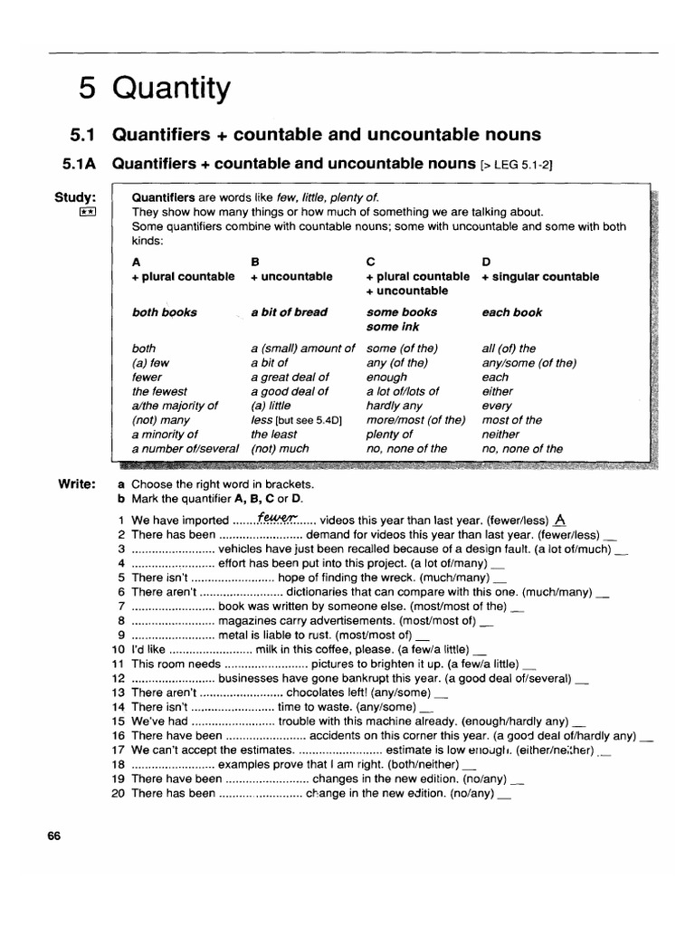 Grammar 5. Quantity | PDF