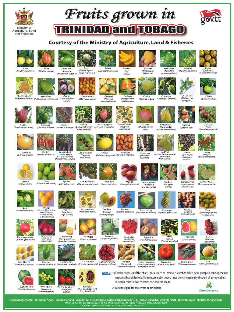 Fruits PDF | PDF