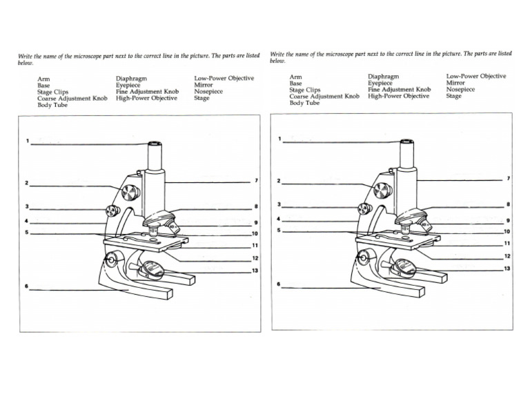 Microscope Label | PDF