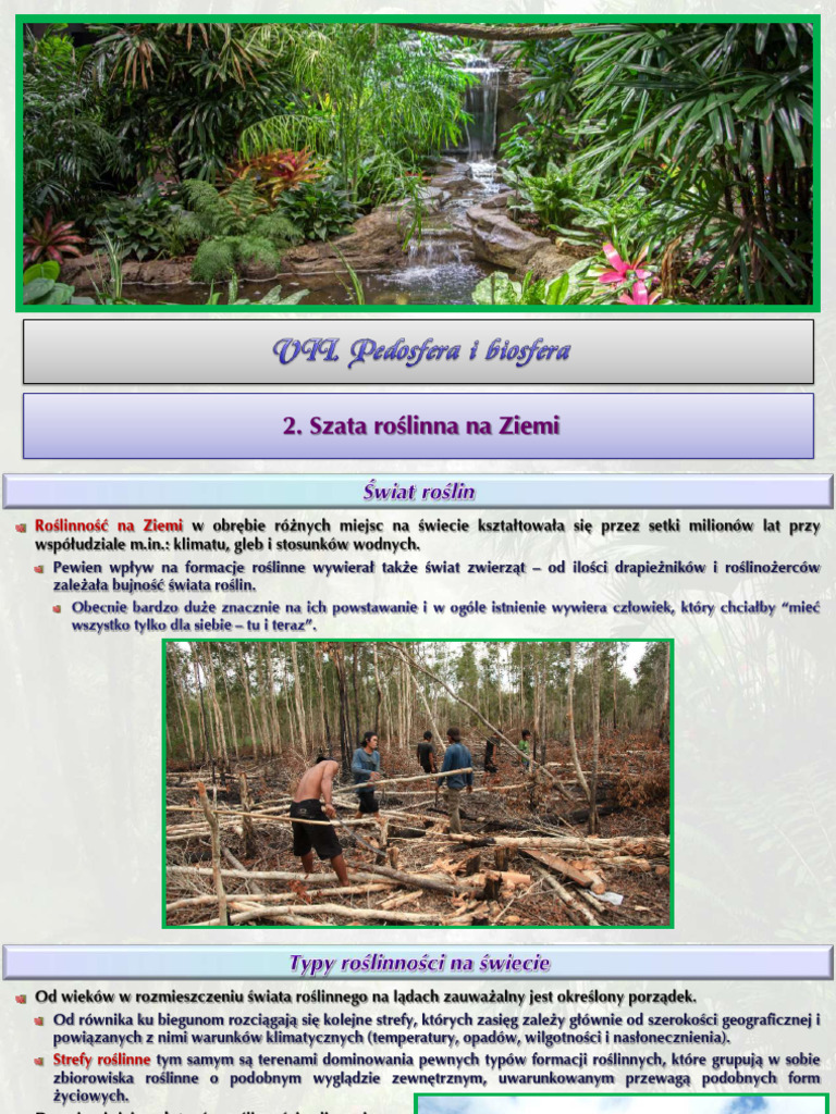 szata-ro-linna-na-ziemi-pdf