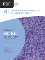 Retina ICD-10 Quick Reference Guide | PDF | Legal Liability | Ophthalmology