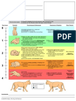 CSU Acute Pain Scale Cat