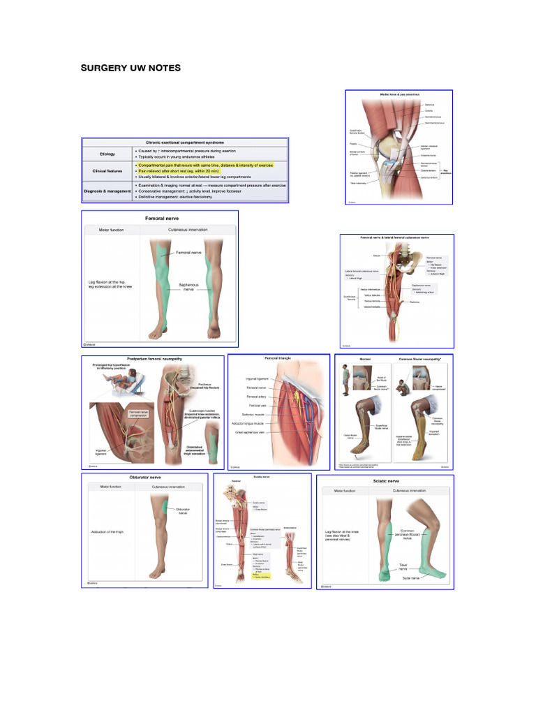 Surgery Step 3 Uw Notes | PDF
