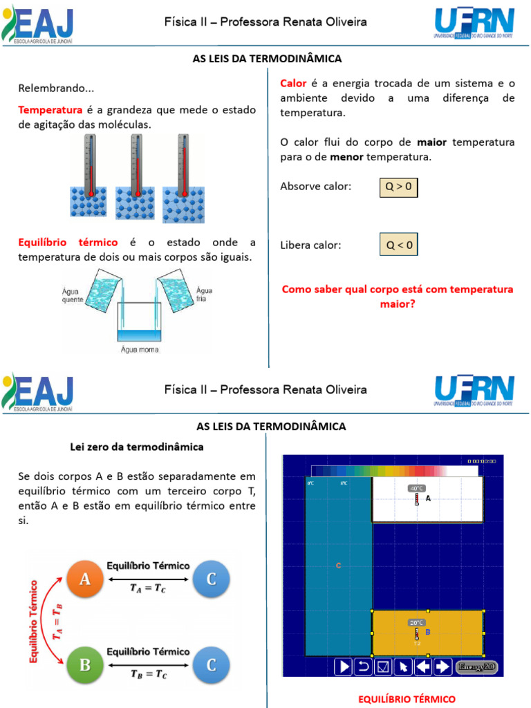 Fundamentos da Termodinâmica e Calor | PDF | Temperatura | Calor