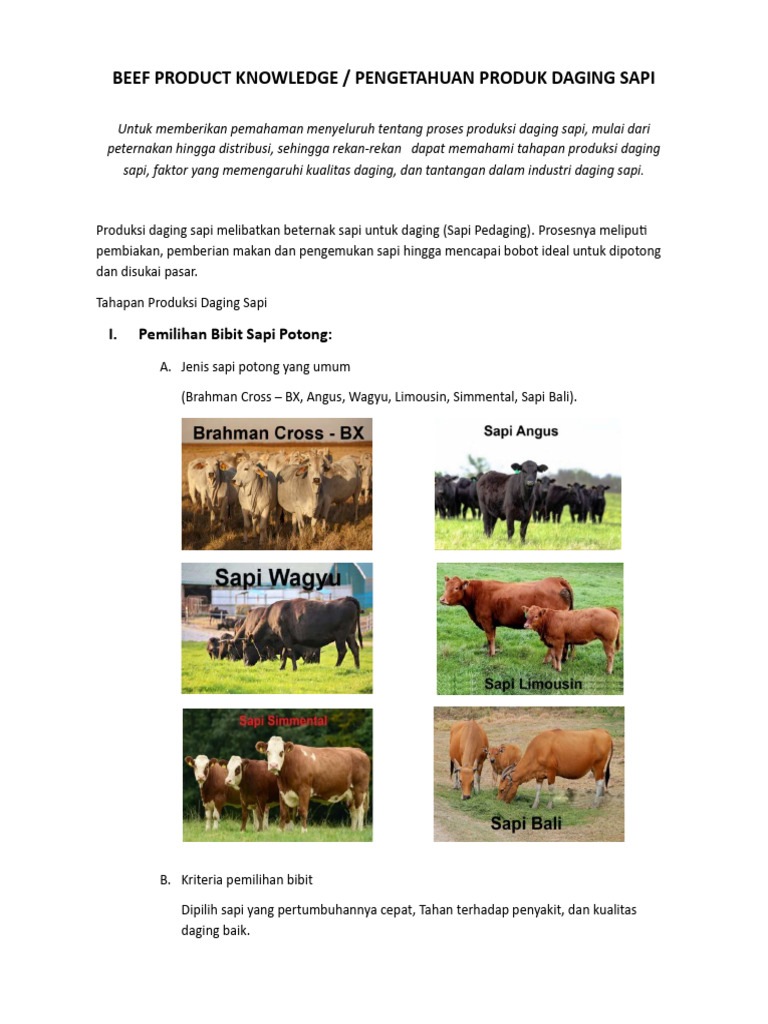 Perbandingan Daging Kerbau dan Sapi | PDF