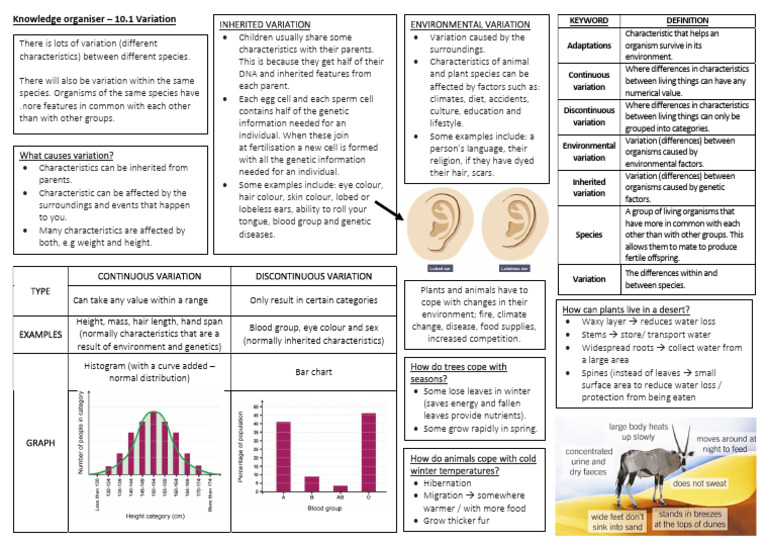 Understanding Variation in Organisms | PDF | Genetics | Leaf