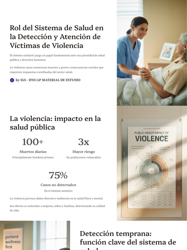 Rol Del Sistema de Salud en La Deteccion y Atencion de Victimas de ...