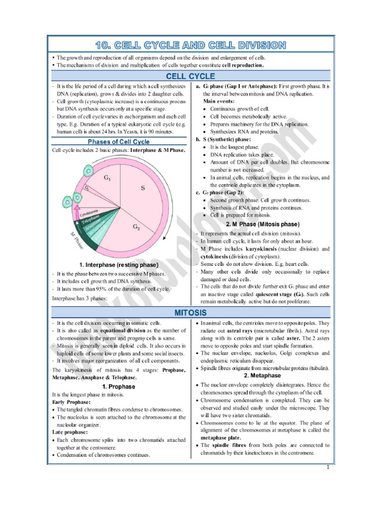 10 Cell Cycle N Cell Division-Notes | PDF