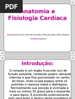 Anatomia e Fisiologia Cardíaca