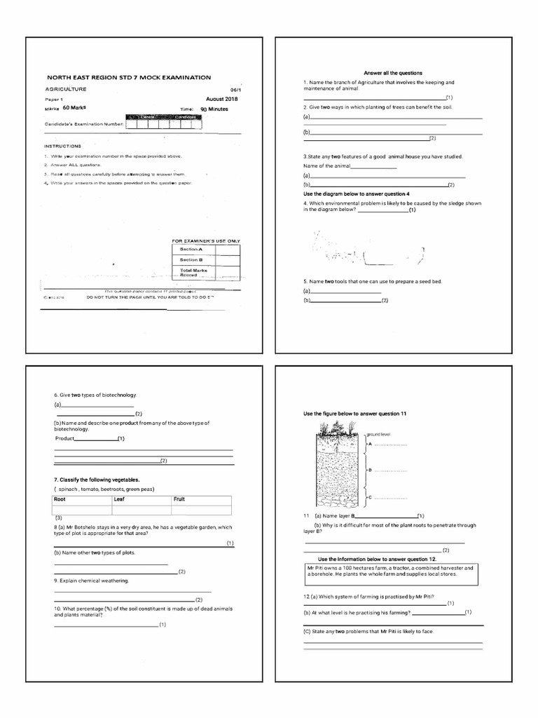 North East Region Agriculture Mock Exam | PDF | Hay | Fertilizer