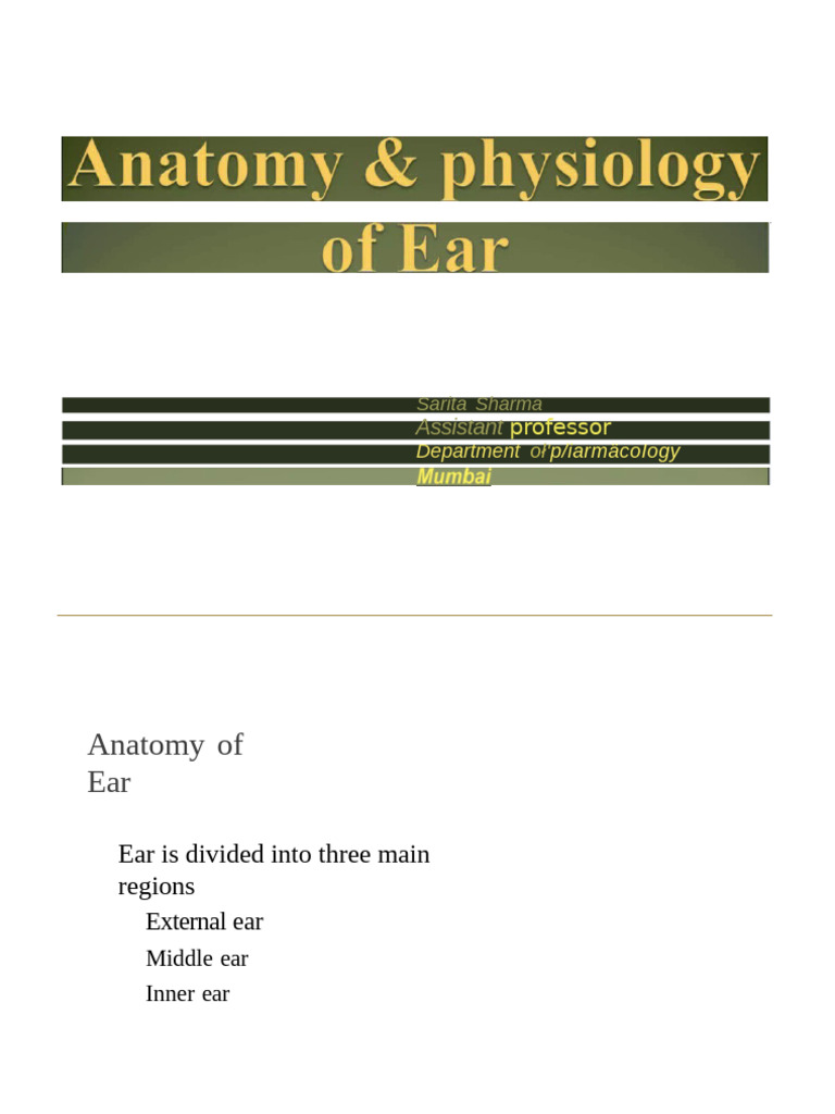 External Auditory Canal Anatomy | PDF | Ear | Hearing