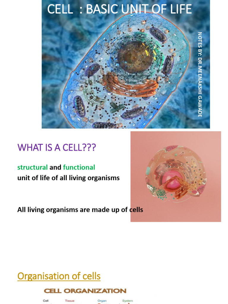 Understanding Cell Structure and Function | PDF | Cell (Biology) | Cell ...