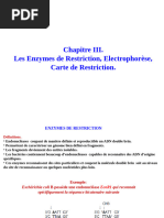 Fiche technique du logiciel Géniegen2 | PDF | Enzyme | Fichier informatique