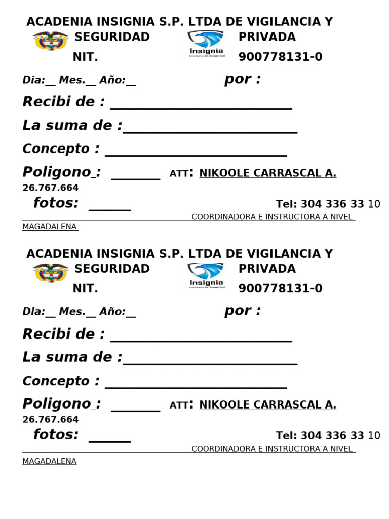 Libro de Recibos de Pago | PDF