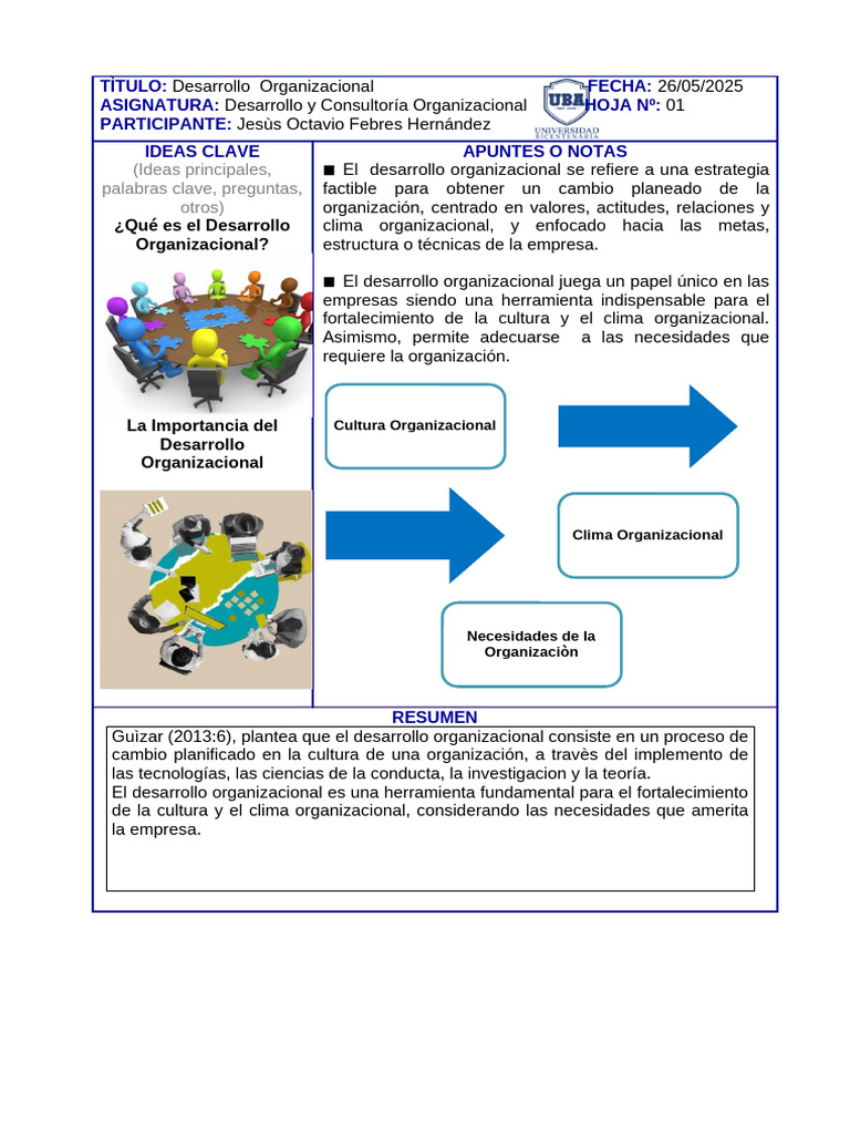 Desarrollo Organizacional | PDF | Business | Planificación