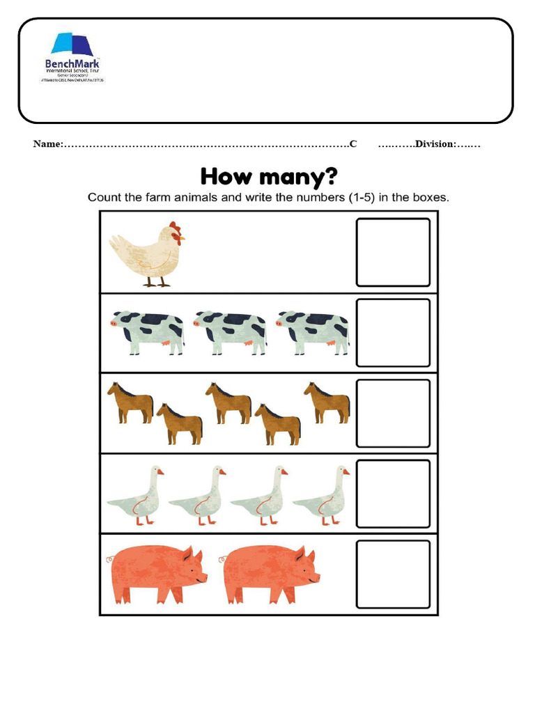 m1 Worksheet | PDF
