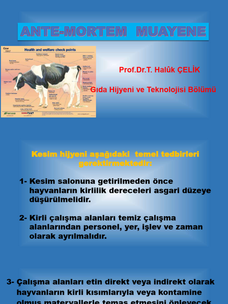 Ante Mortem Muayene | PDF