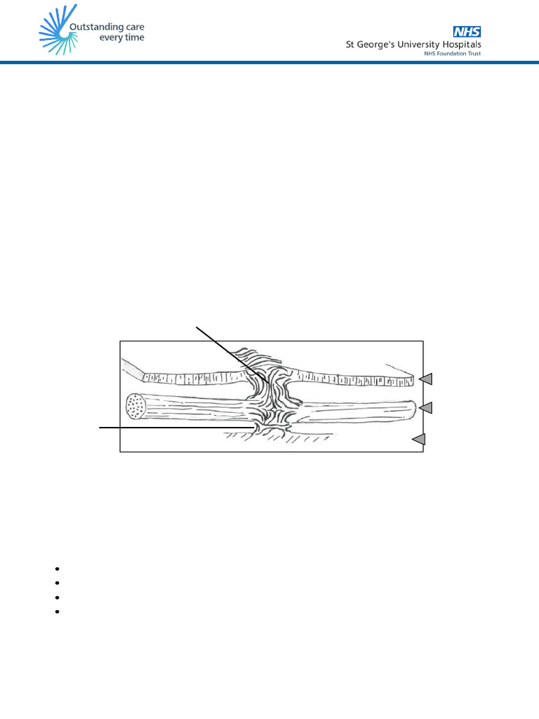 Scar Management and Massage Guide | PDF | Scar | Wound