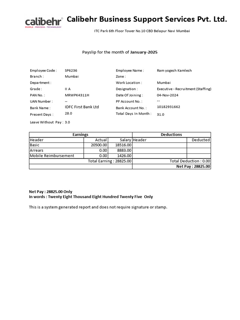 Calibehr January 2025 Salary Slip | PDF